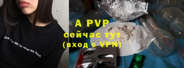 хмурый Вязьма