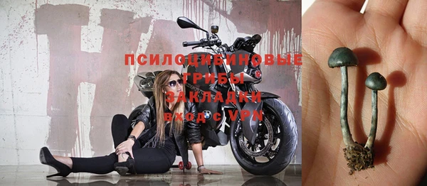 хмурый Вязьма