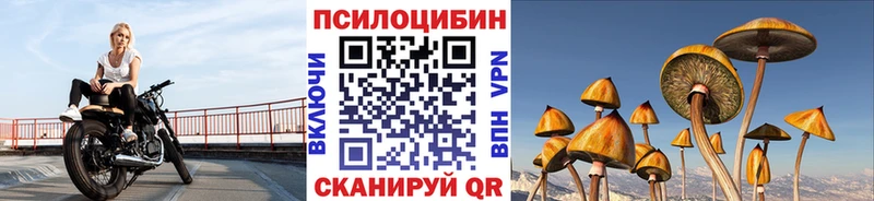 KRAKEN онион  Малаховка  Псилоцибиновые грибы мухоморы  как найти наркотики 