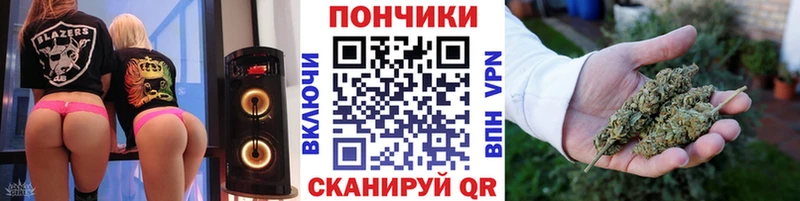 Канабис сатива  где купить наркотик  Малаховка 